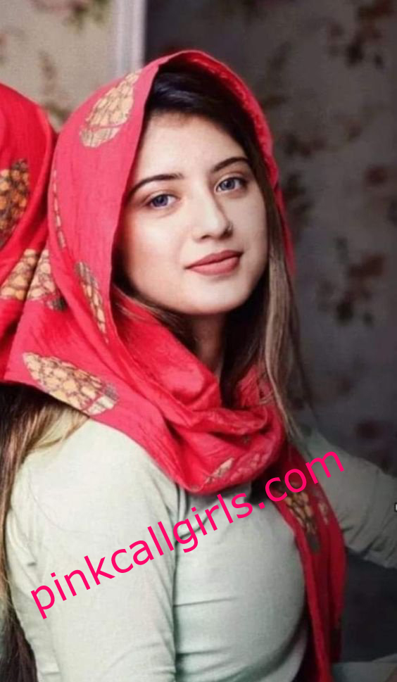 Fazilka call girl service